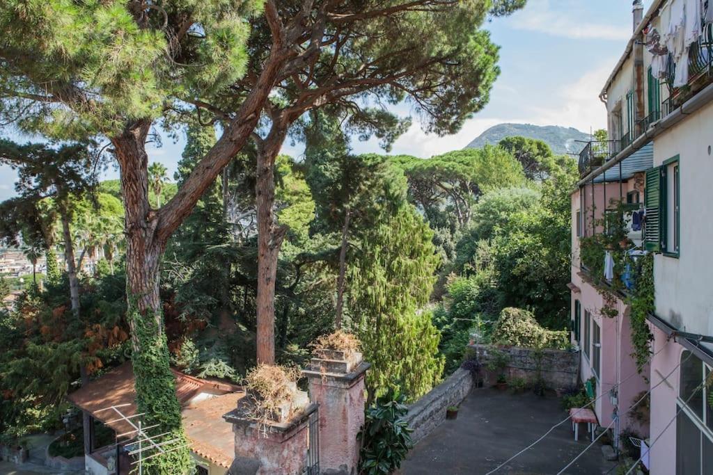 Casa Panoramica Daire Castellammare di Stabia Dış mekan fotoğraf